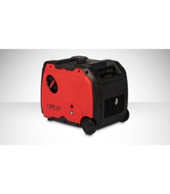 Agregat inwertorowy Fogo...