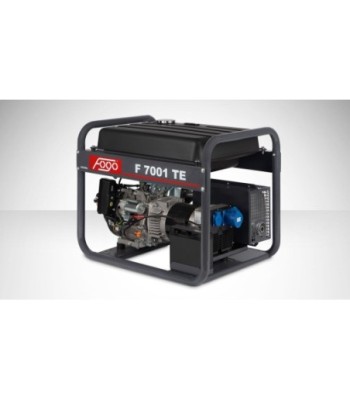 Agregat Fogo 1-fazowy 230V...