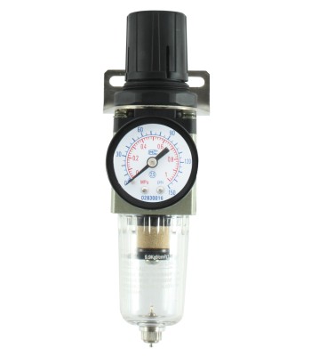 Reduktor + filtr 1/4" FACH