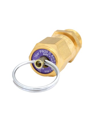 Zawór bezpieczêñstwa 1 bar 1/4"