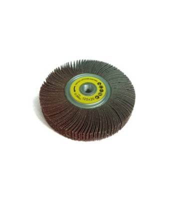 Ściernica listkowa kątowa...